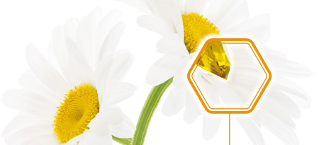 Nouvelle identité InVivo Labs