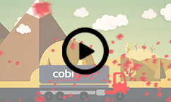 Voeux Cobigo play