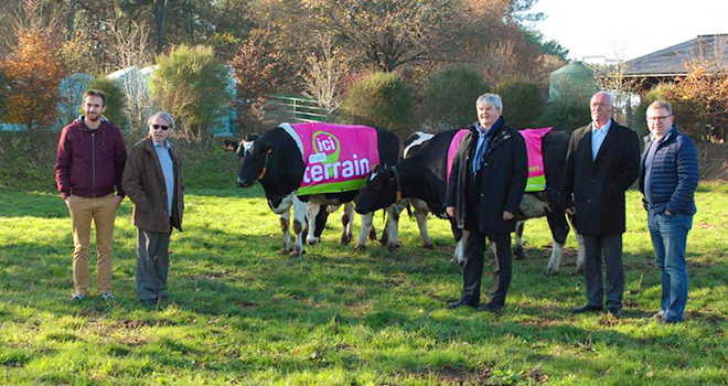 Conférence de presse avec les vaches connectées