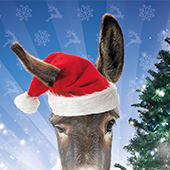 Les Libraires Ensemble vous promettent un Noël magique !