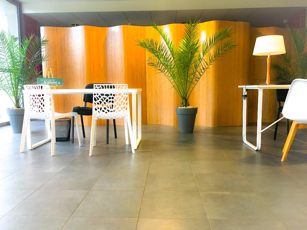 Espace bureaux esprit végétal