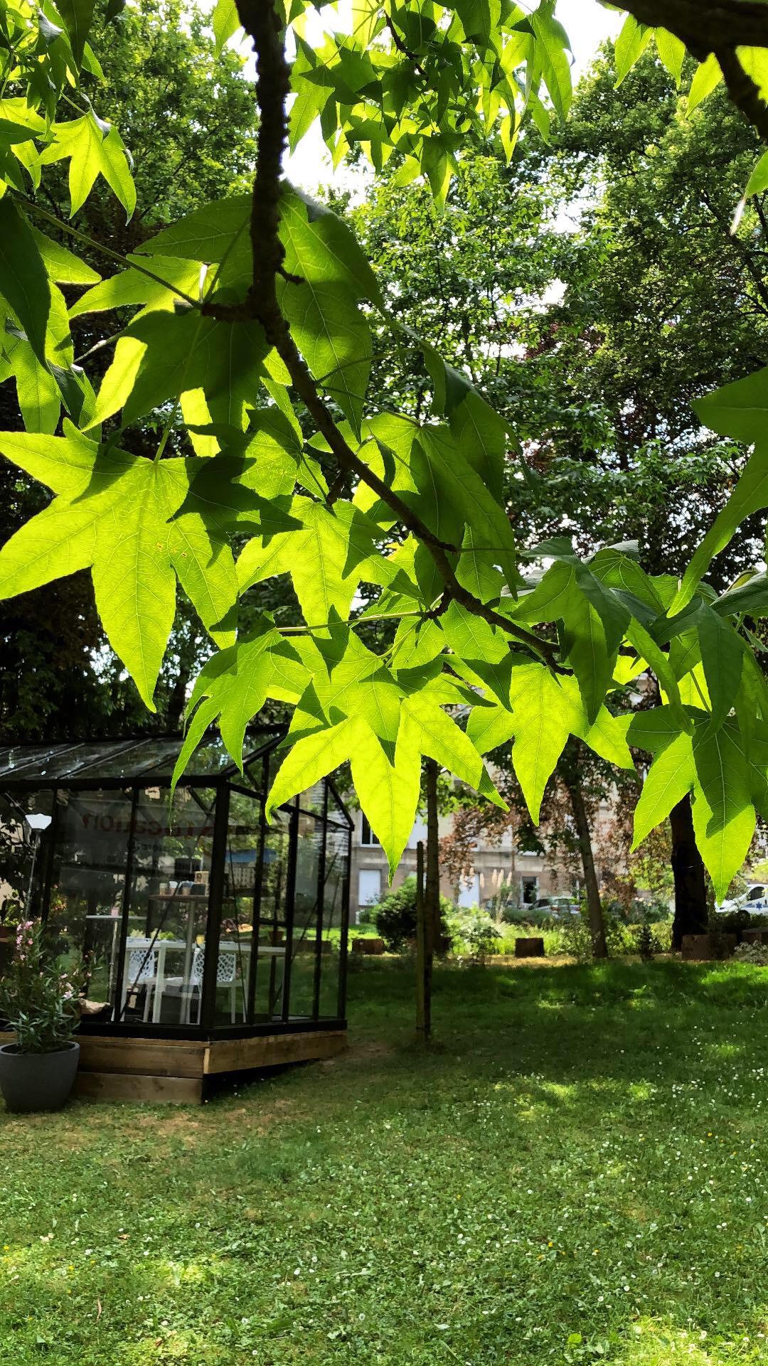 Un bureau de vente en pleine nature