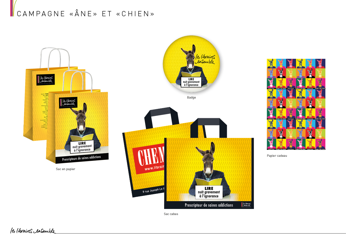 Déclinaisons de l'âne