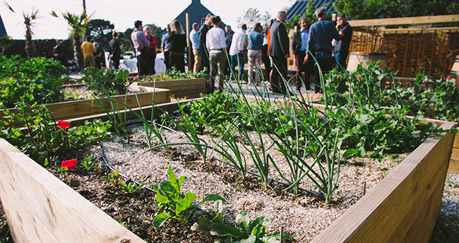 Inauguration - eKo potager