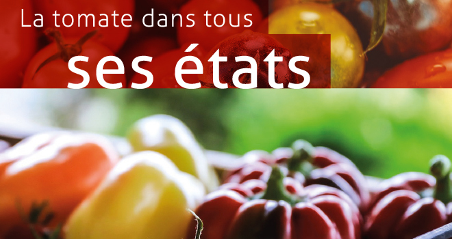 Ouest Magazine 13