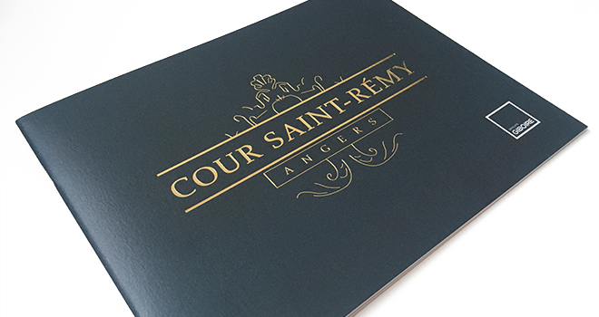 Cours Saint-Remy - Couverture