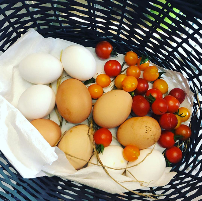 Potager Kadouarn