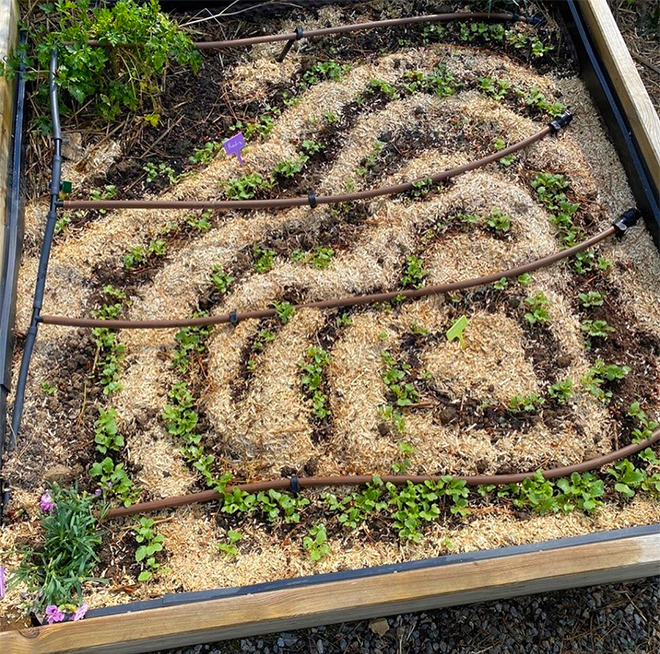 Potager Kadouarn
