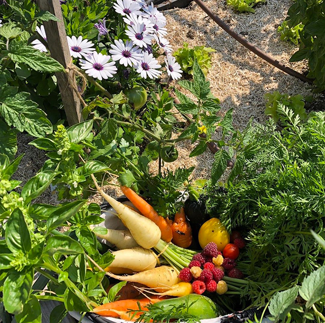 Potager Kadouarn