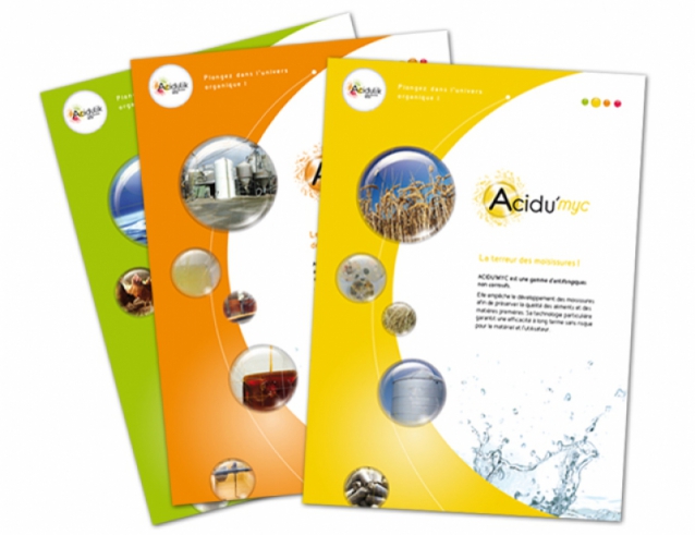 Plaquettes Acidulik
